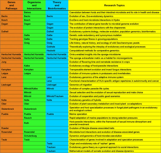 Übersicht der in der IMPRS vertretenen Arbeitsgruppen und Themengebiete.