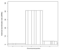 <span style="font-family: Cambria;">Historical linkage disequilibrium patterns revealing a canid recombination hotspot. <br /></span>