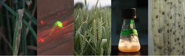 Max Planck Fellow Group Environmental Genomics Max Planck Fellow Group Environmental Genomics