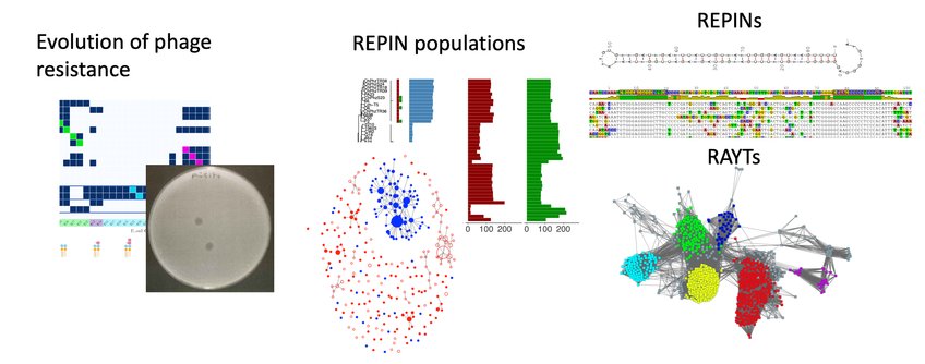 Research Group Microbial Molecular Evolution Research Group Microbial Molecular Evolution