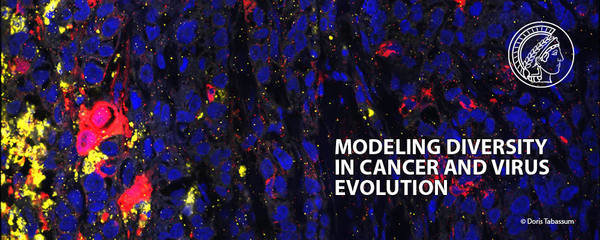 Modeling Diversity in Cancer and Virus Evolution