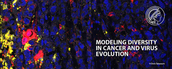 Modeling Diversity in Cancer and Virus Evolution Modeling Diversity in Cancer and Virus Evolution