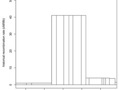 Historical linkage disequilibrium patterns revealing a canid recombination hotspot.
