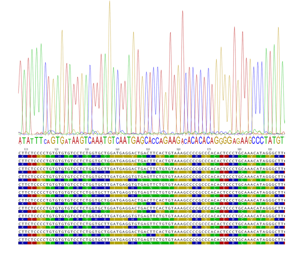 Sequencing the Prdm9 Exon coding for the C2H2-zinc-finger domain can reveal the underlying population diversity in the positions that are relevant for DNA binding.