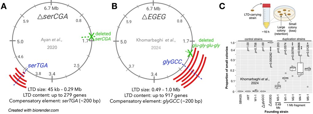 Figure 1. Biased and different use of the six leucine codons in the genomes of two bacterial species.
