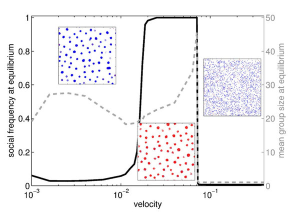 Research Group Dynamics of Microbial Collectives