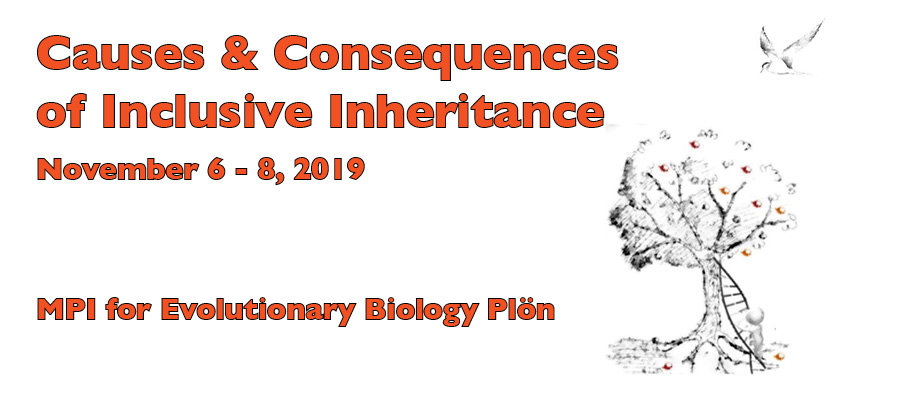 Causes and Consequences of Inclusive Inheritance Causes and Consequences of Inclusive Inheritance