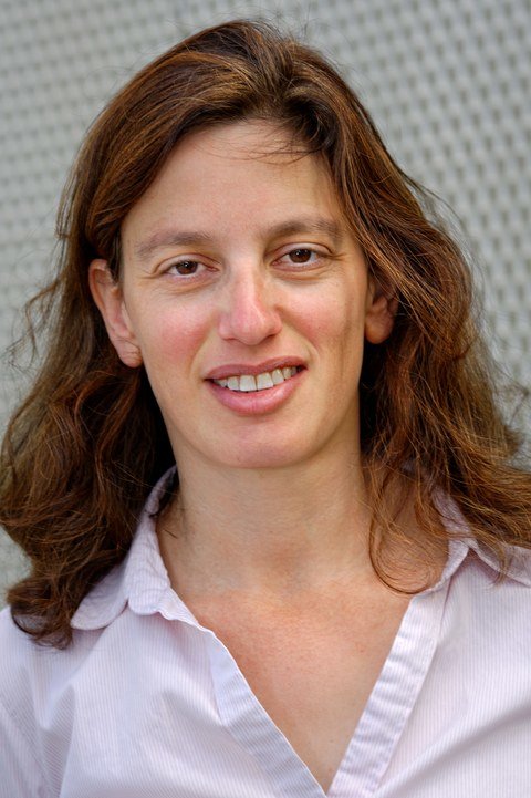 Prof. Dr. Tal Dagan