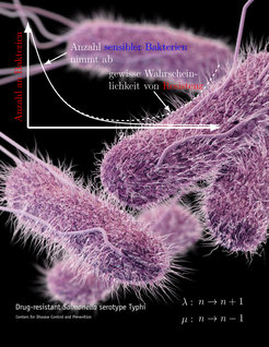 Antibiotikaresistenz bei Salmonella Bakterien
