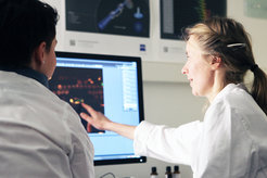Doktorandinnen und Doktoranden des neuen Kollegs werden sich zum Beispiel mit der Entwicklung neuartigen Pflanzenschutzstrategien für eine nachhaltige Nahrungsmittelproduktion beschäftigen.