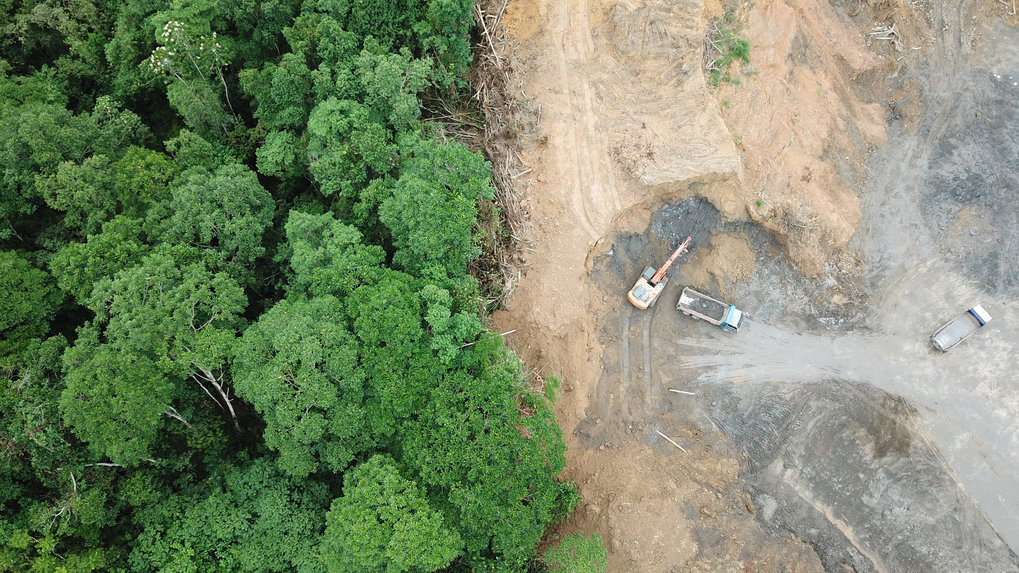 Der Mensch verändert seine Umwelt immer stärker, wie hier den Regenwald auf Borneo, der Plantagen für Ölpalmen weichen muss. Der Earth Day will jedes Jahr daran erinnern, dass auch der Mensch auf eine intakte Natur angewiesen ist.