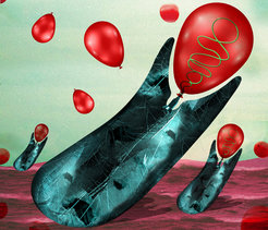 Artistic representation of sporulating bacteria, by artist Valentina Brostean (valentinabrostean.com)