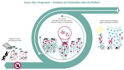 Forschungsprogramm mit Potenzial für militärischen Einsatz: Wissenschaftler befürchten, dass das US-amerikanische Programm andere Länder dazu verleiten könnte, selbst Biowaffen zu entwickeln.