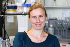 Eva Stukenbrock, Professorin für Umweltgenomik am MPI-EB in Plön und an der CAU, wurde 2020 mit einem Fellowship der Academy of Microbiology geehrt.