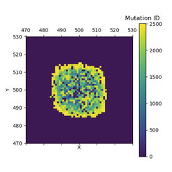 Tumour matrix as a 2D grid with colored cells indicating the order in which mutations appear.