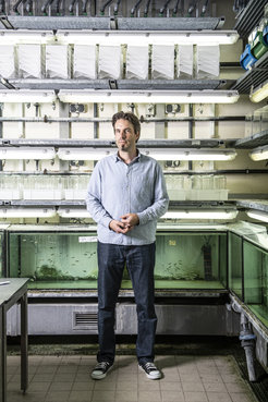Tobias Lenz im Fischkeller seines Instituts. Der Wissenschaftler erforscht nicht nur die MHC-Gene des Menschen, sondern auch die von Stichlingen. Die große Vielfalt der MHC-Varianten soll die Fische zum Beispiel vor Parasiten schützen.