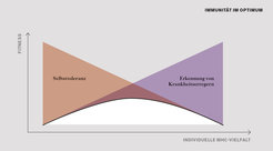 Optimum der Immunität: Je höher die Vielfalt an MHC-Varianten ist, desto besser ist der Körper gegen Krankheitserreger und Parasiten geschützt. Gleichzeitig sinkt aber auch die Toleranz des Immunsystems. Bei geringer Vielfalt ist diese Gefahr geringer, dafür wächst aber die Anfälligkeit für Krankheiten.