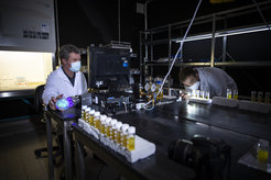 Paul Rainey (links) und Loukas Theodosiou im Labor. Rainey hält eine Petrischale mit einem fluoreszierenden Pigment, das Pseudomonasfluorescens seinen Namen gibt. In den Reagenzgläsern schwimmen die Mikroben inverschiedenen Stadien ihres Lebenszyklus.