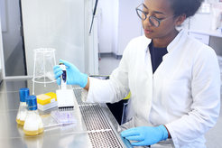 The new model of the CRC 1182 researchers helps to better understand the influence of selection on the reproductive success of microorganisms - and thus facilitates the interpretation of evolution experiments in the laboratory.
© Christian Urban, Kiel University