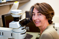 Alexandra Zoe Worden has been elected member of the German Academy of Sciences Leopoldina.