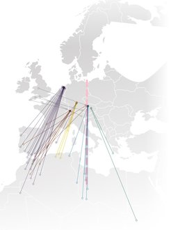 Im östlichen Mitteleuropa brütende Mönchsgrasmücken ziehen Richtung Südosten, weiter westlich brütende fliegen nach Südwesten. Vögel aus dem Grenzgebiet zwischen West- und Ostziehern (Zugscheide: gestrichelte Linie) fliegen direkt nach Süden und überqueren die Alpen, das Mittelmeer und oft auch die Sahara an ihrer breitesten Stelle. Die Brutgebiete der in Großbritannien überwinternden Vögel sind über ganz Europa verteilt.