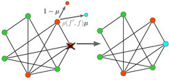 The Moran Bd update mechanism with continuous mutation is shown for a small graph. An individual is first selected to reproduce with probability proportional to its fitness. The offspring mutates with probability μ, and its fitness f' is sampled from a distribution ρ(f',f), where f is the parent’s fitness. A neighboring individual is then chosen for death at random among the neighboring nodes, and the offspring is placed in the empty node.