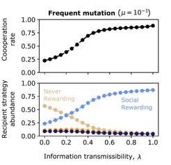 Social Rewarding