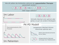 Zusammenfassung der Studie. Die linke Seite zeigt die Unterschiede in der Antibiotikakonzentration (c) zwischen dem Labor und dem Patienten. Die rechte Seite zeigt, inwiefern sich die Ergebnisse zwischen Labor und Patient unterscheiden.