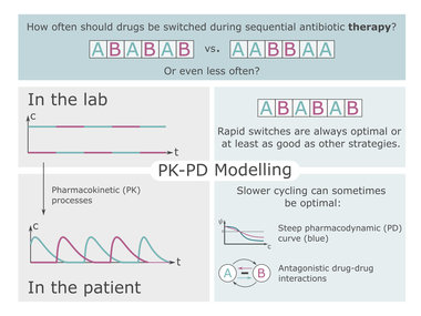 Sequential antibiotic therapy