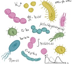 Abstract presentation of the use of mathematics in the treatment of bacterial infections, which will be explained in more detail in the lecture.
