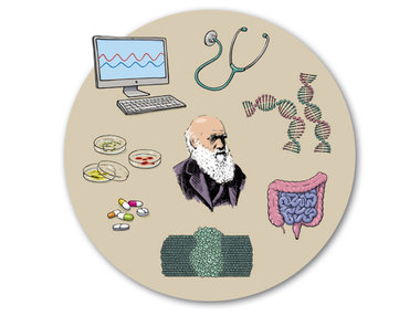 Evolutionäre Medizin: Was hat die Evolutionsbiologie der biomedizinischen Forschung zu bieten?