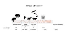 what is ultrasound?