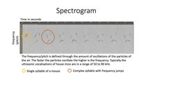 What can we see in a spectogram?