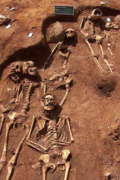 Unter anderem bei einer Ausgrabung auf einem Friedhof im dänischen Sejet gefundenen Skelette lieferten genetische Proben für die Kieler Forschungsarbeit.