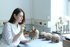 Dr. Joanna Bonczarowska