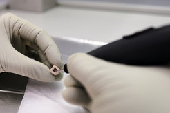 Zahn zur Gewinnung von Pulver für die DNA-Extraktion