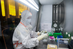 Sogenannte DNA-Bibliotheken werden im aDNA-Labor an der CAU für die Sequenzierung vorbereitet.