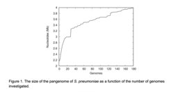 Haubold project 2024 Figure 1