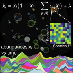 Dynamical equations for strongly interacting species capture turnover of rare and abundant species, as seen in marine plankton protists.