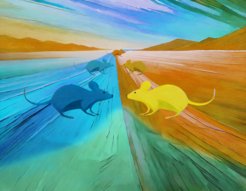 This cartoon shows how an original species (in the background) split into two different subspecies in the foreground (blue and yellow). The subspecies were isolated from each other for longer evolutionary timescales and evolved independently. When these species met again later, PRDM9 created a barrier to gene flow between different individuals and populations, which is known as speciation and is represented by the dividing line between the populations. However, the speciation of mouse subspecies is not yet complete in the wild, as mixing of individuals of two subspecies is still possible with certain PRDM9 variants, which is represented by the green gradient. (Created with Adobe Firefly)