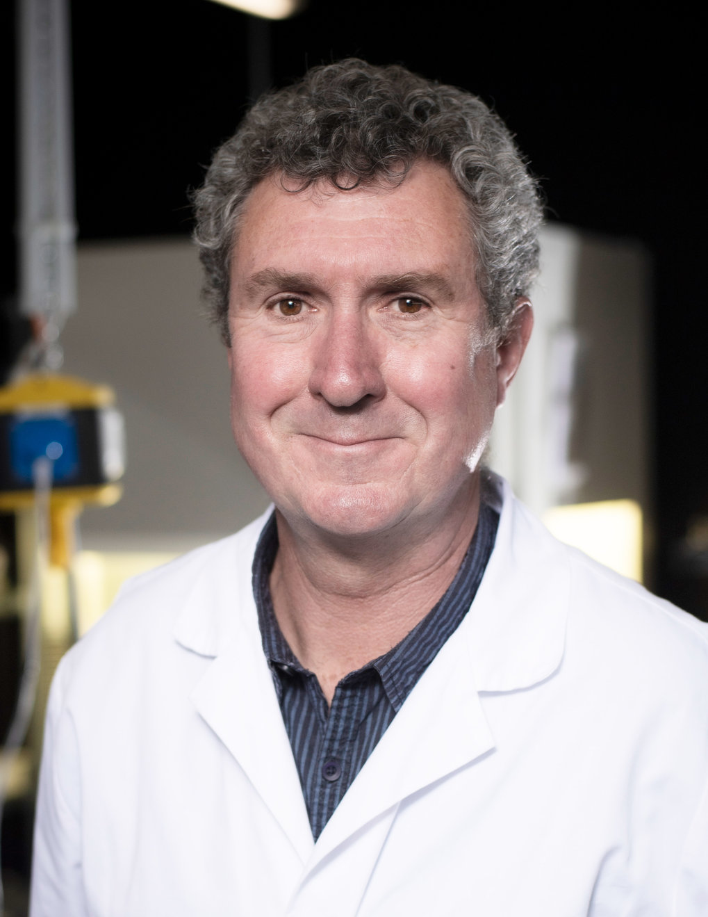 Prof. Dr. Paul B. Rainey