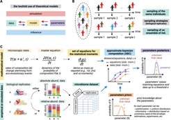 Parameterinferenz-Workflow und Eigenschaften mikrobieller Daten.
