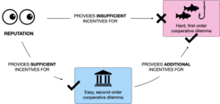 Social Leverage Effect