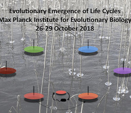 Workshop on Evolutionary Emergence of Life Cycles