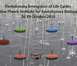 Workshop on Evolutionary Emergence of Life Cycles Workshop on Evolutionary Emergence of Life Cycles