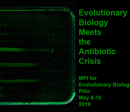 Workshop "Evolutionary Biology meets the Antibiotic Crisis" Workshop "Evolutionary Biology meets the Antibiotic Crisis"