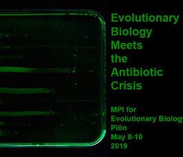 Workshop "Evolutionary Biology meets the Antibiotic Crisis"