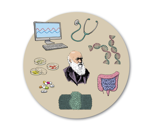 Evolutionäre Medizin: Was hat die Evolutionsbiologie der biomedizinischen Forschung zu bieten?